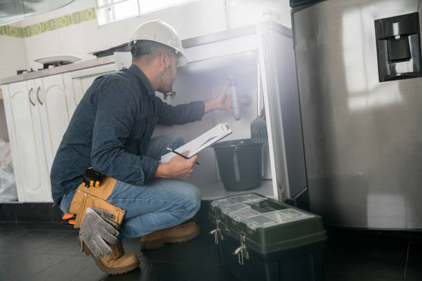 Best Same-Day Plumbing Service  in Luna Pier, MI