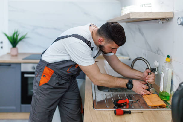 Best Best Plumbers Near Me  in Luna Pier, MI