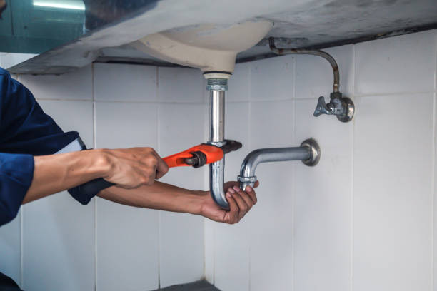 Best Clogged Drain Plumber  in Luna Pier, MI