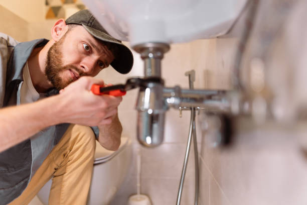 Best Affordable Plumbing Services  in Luna Pier, MI