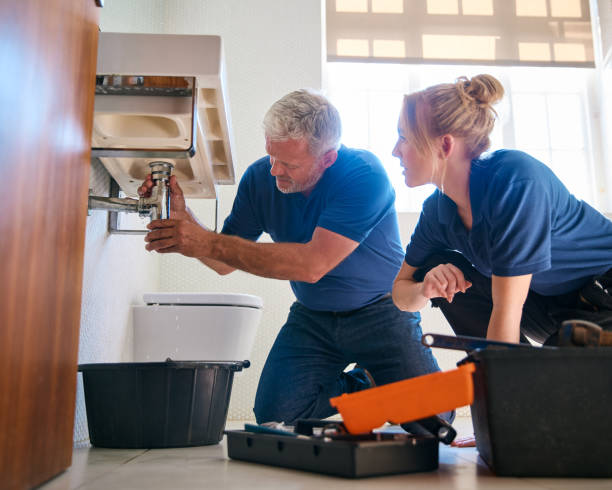 Best Affordable Plumber Near Me  in Luna Pier, MI